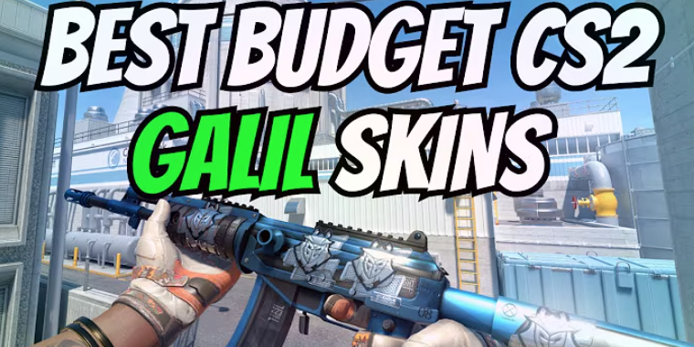 Skin Culture: Galil AR Looks Good While Working Cheap