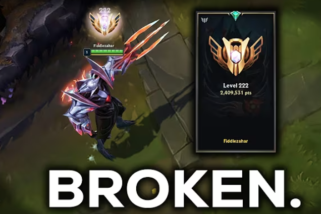 Zed’s Evolution