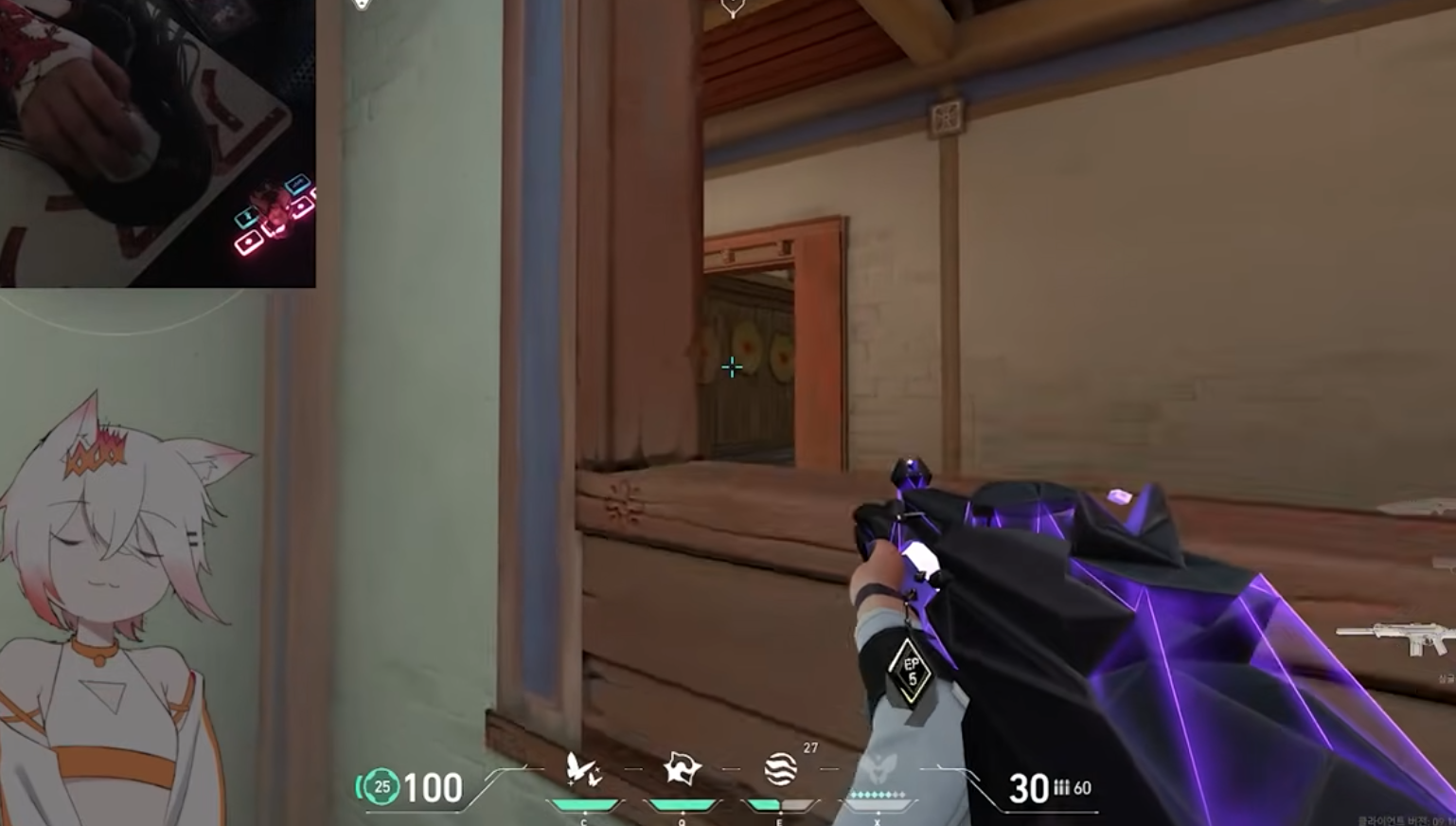 Twitch Streamer