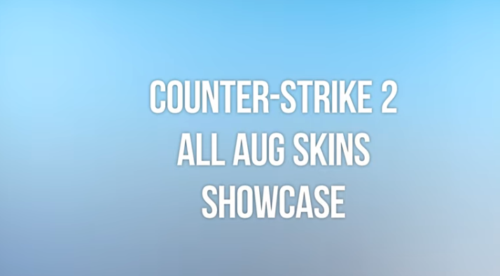 Design and Aesthetics of AUG Skins