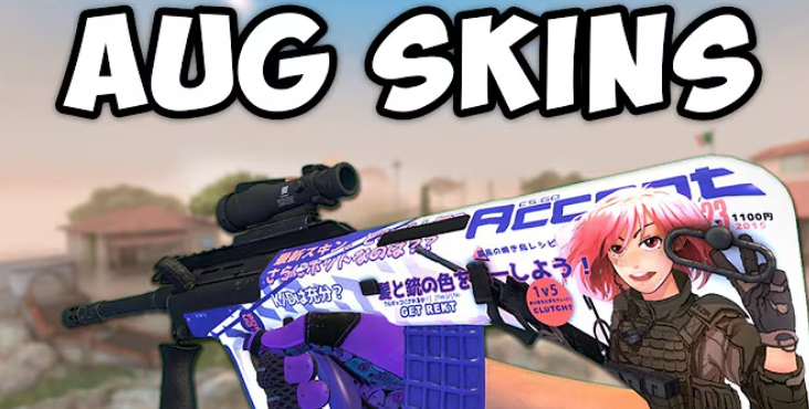 Overview of the AUG in CS2
