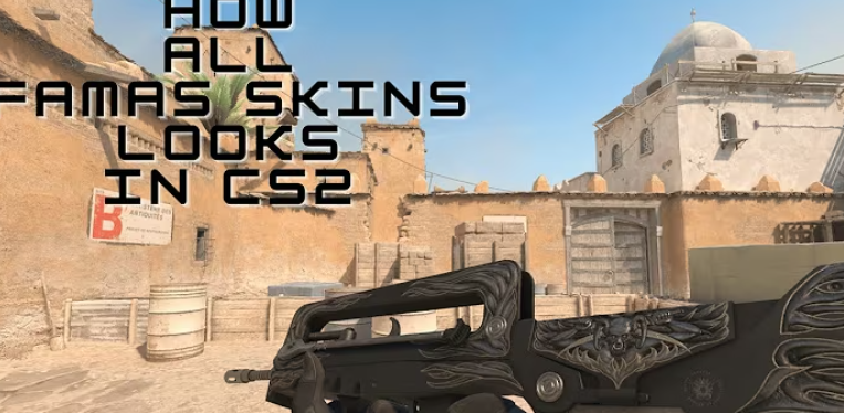 Design and Aesthetics of FAMAS Skins