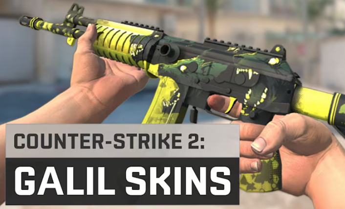 Design and Aesthetics of Galil AR Skins