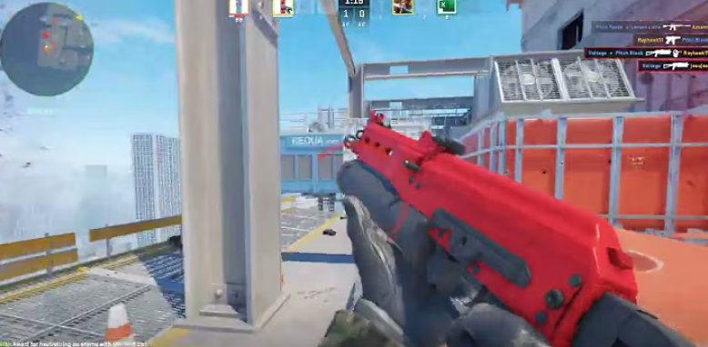 Design and Aesthetics of PP-Bizon Skins