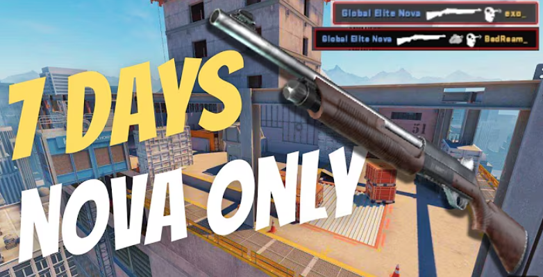 Overview of the Nova in CS2