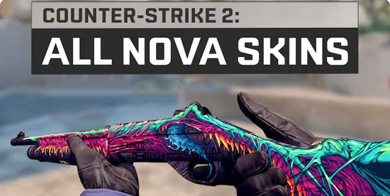 Design and Aesthetics of Nova Skins