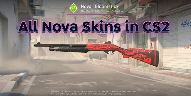 How Nova Skins Impact Game Data