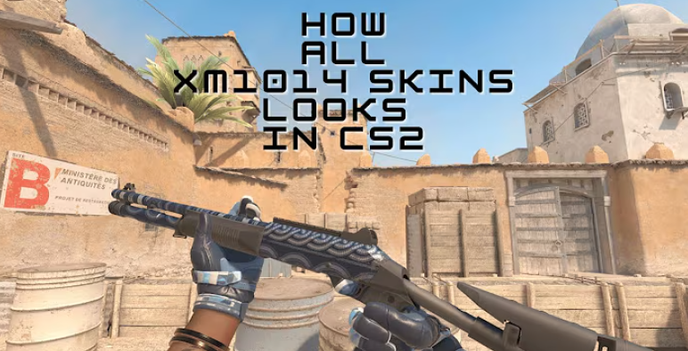 Overview of the XM1014 in CS2