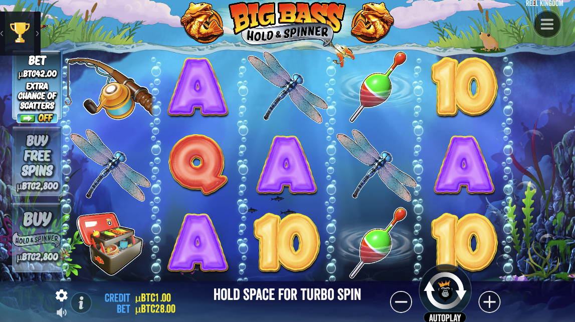 Guide to the Big Bass Slots