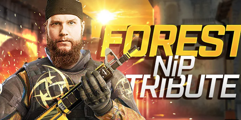 The Impact of NiP’s Performance on Betting Markets