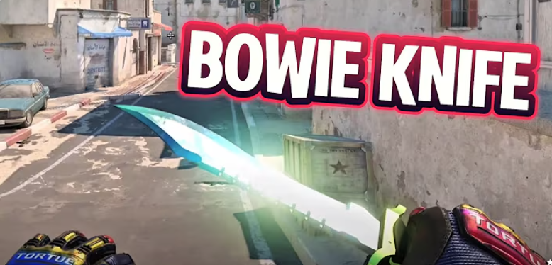 Bowie Knife Skins