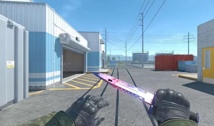 Popular Culture Around M9 Bayonet Skins