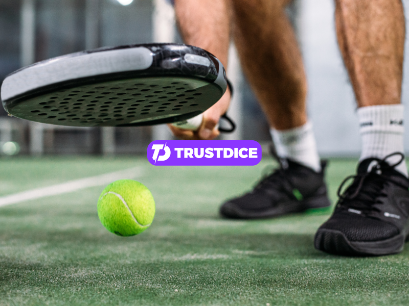 How Professional Padel Works: Rankings, Partners, Tournaments, and Prize Money Explained