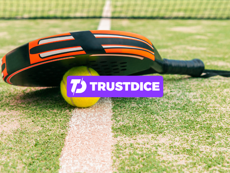 Why Playing Conditions Matter in Professional Padel